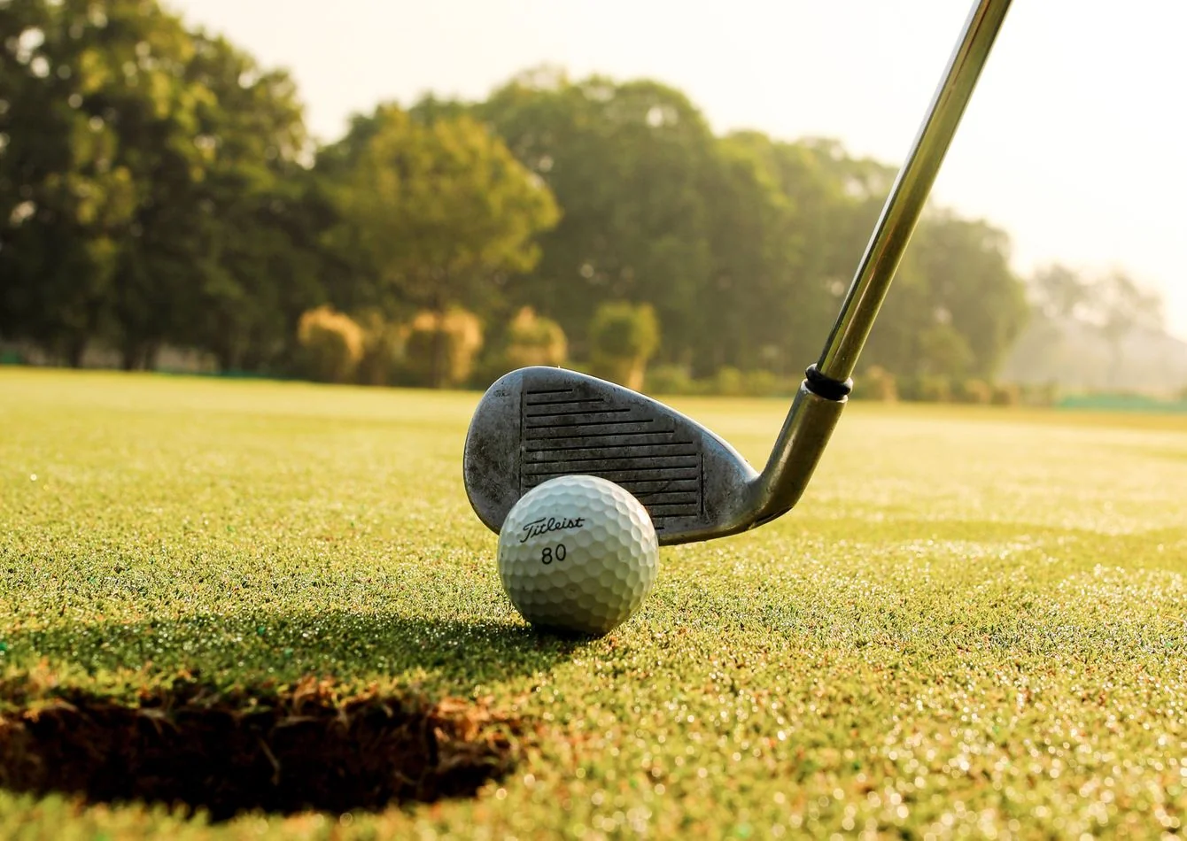 Absentee-Run Golf Improvement Tool Company in NorCal… — Sale in Northern California, CA, photo 1 of 1