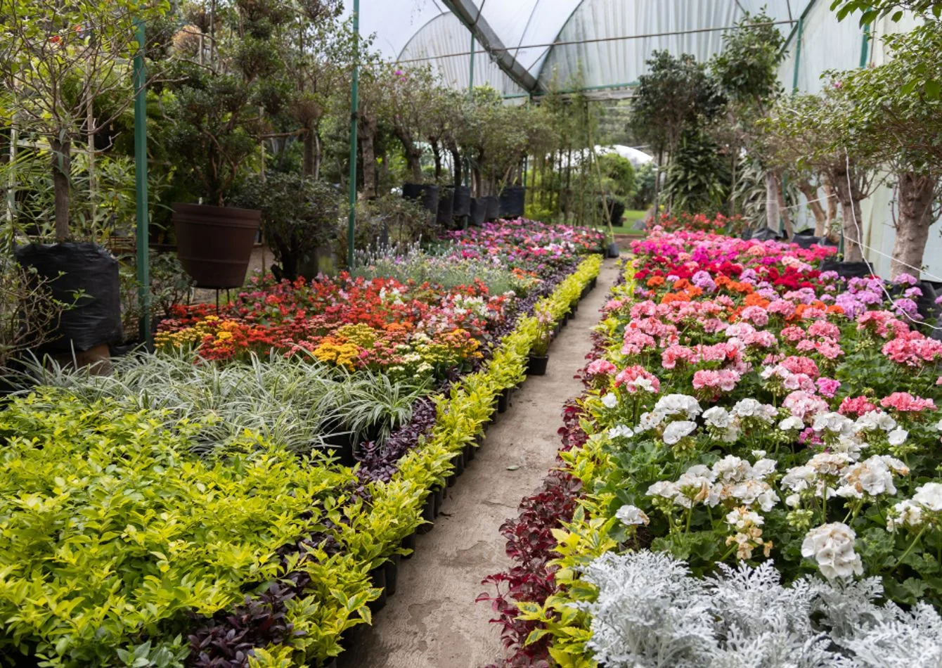 Premier Retail Garden Center — Palm Beach County,… — Sale in Palm Beach County, FL, photo 1 of 1