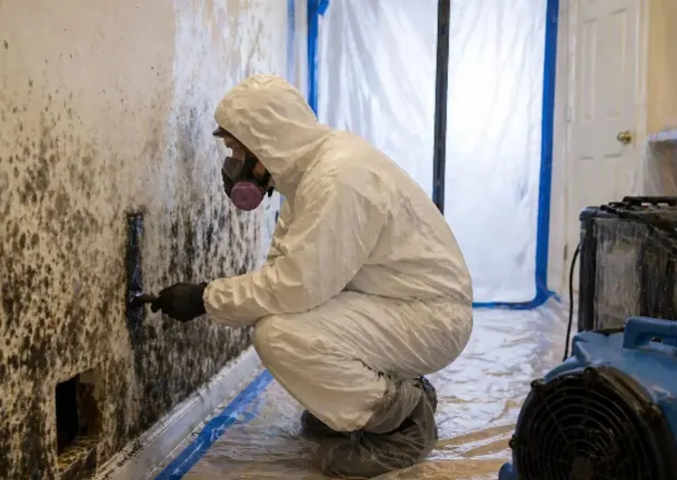 Established Water & Fire Restoration Franchise w/ recurring insurance-driven revenue — business for sale in Orlando, FL