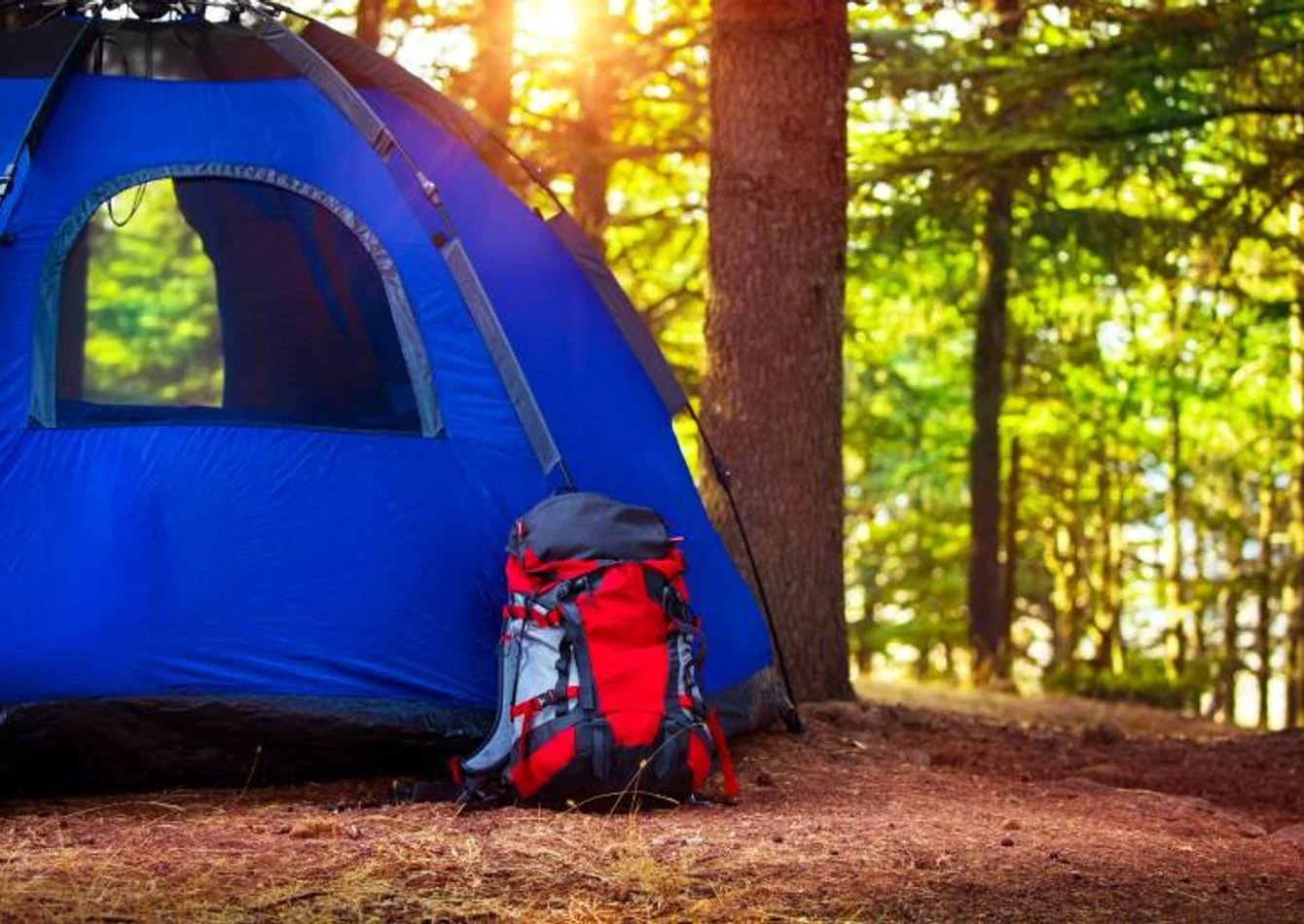 N2240 Established Outdoor Sporting Goods E-Commerce… — Sale in Indianapolis, IN, photo 1 of 1