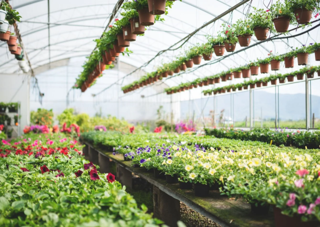 Established Retail Garden Center - Upstate South Carolina - other for sale in greenville, SC
