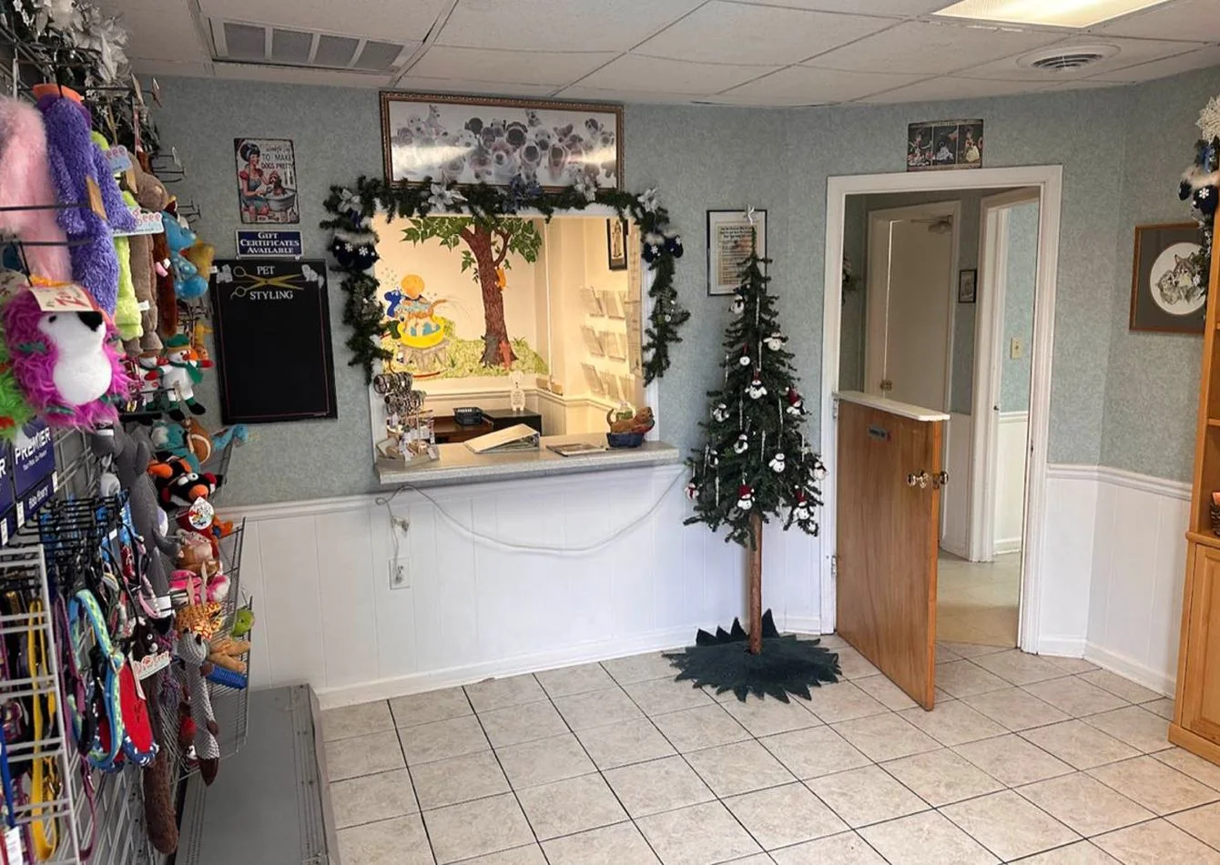 Dog Grooming Shop (Roanoke, VA) — Sale in Roanoke, VA, photo 1 of 1