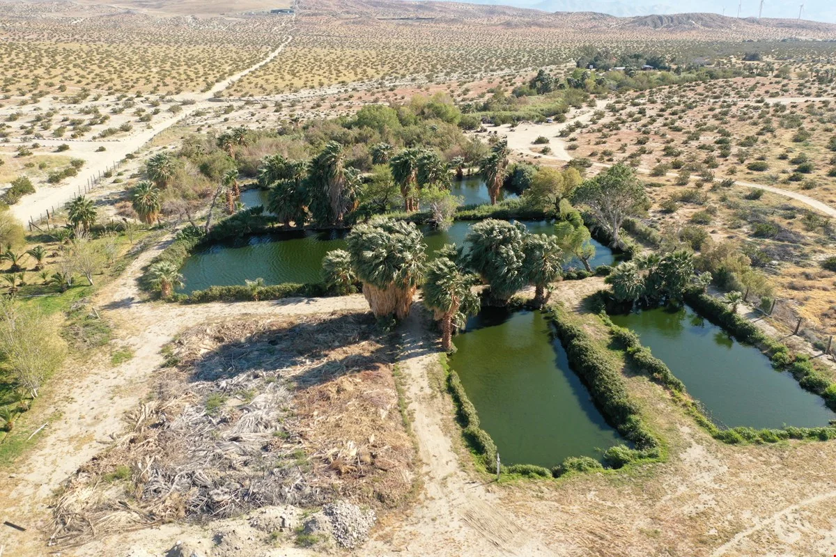 Fish Farm Business and Real Estate Opportunity — Sale in Desert Hot Springs, CA, photo 3 of 8