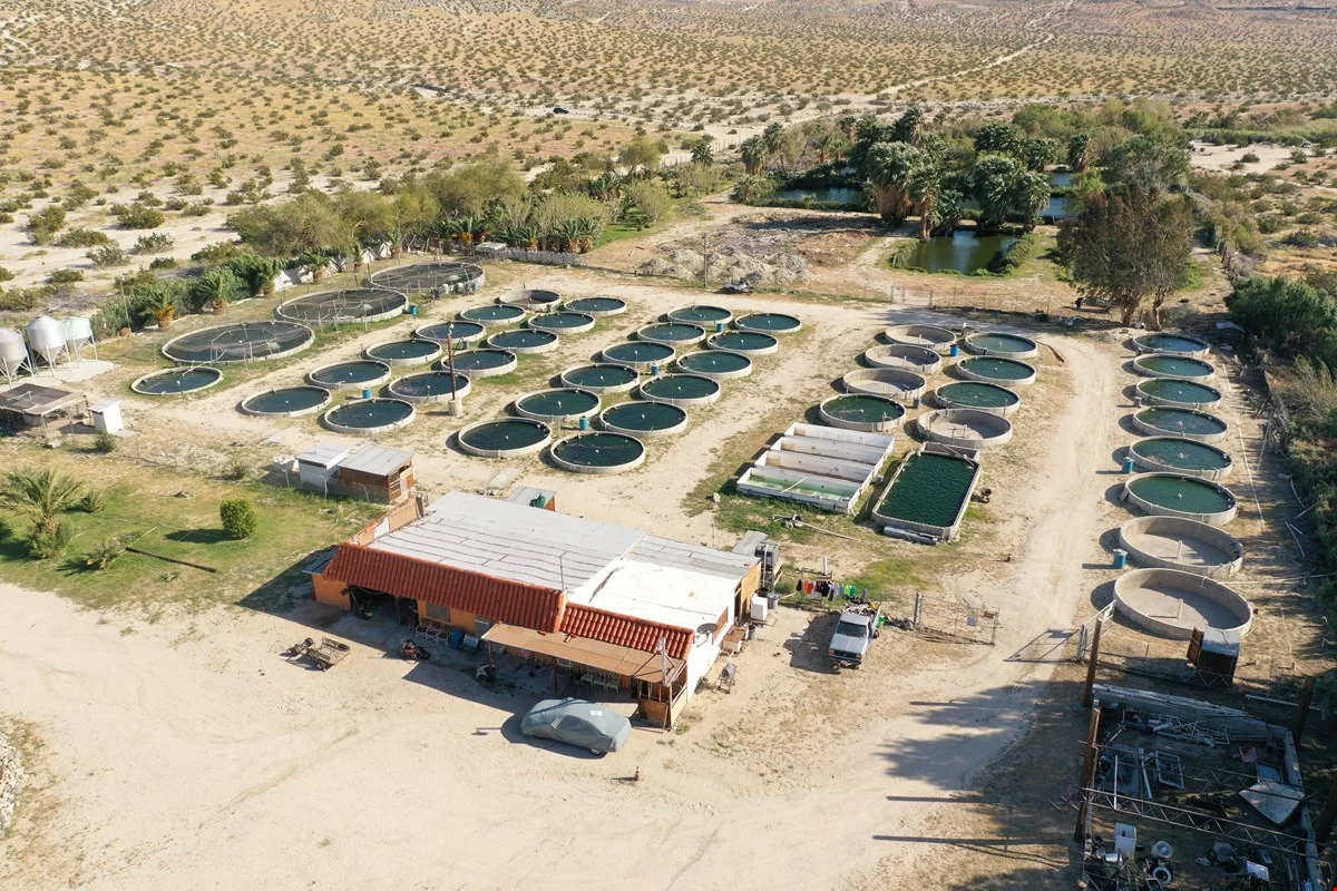 Fish Farm Business and Real Estate Opportunity — Sale in Desert Hot Springs, CA, photo 4 of 8