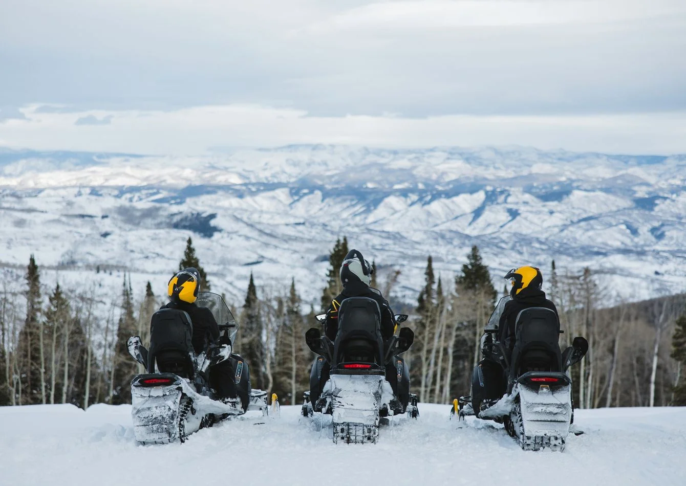 Luxury Snowmobile Tour Company, Desirable Colorado Resort Town - other for sale in greater denver, CO