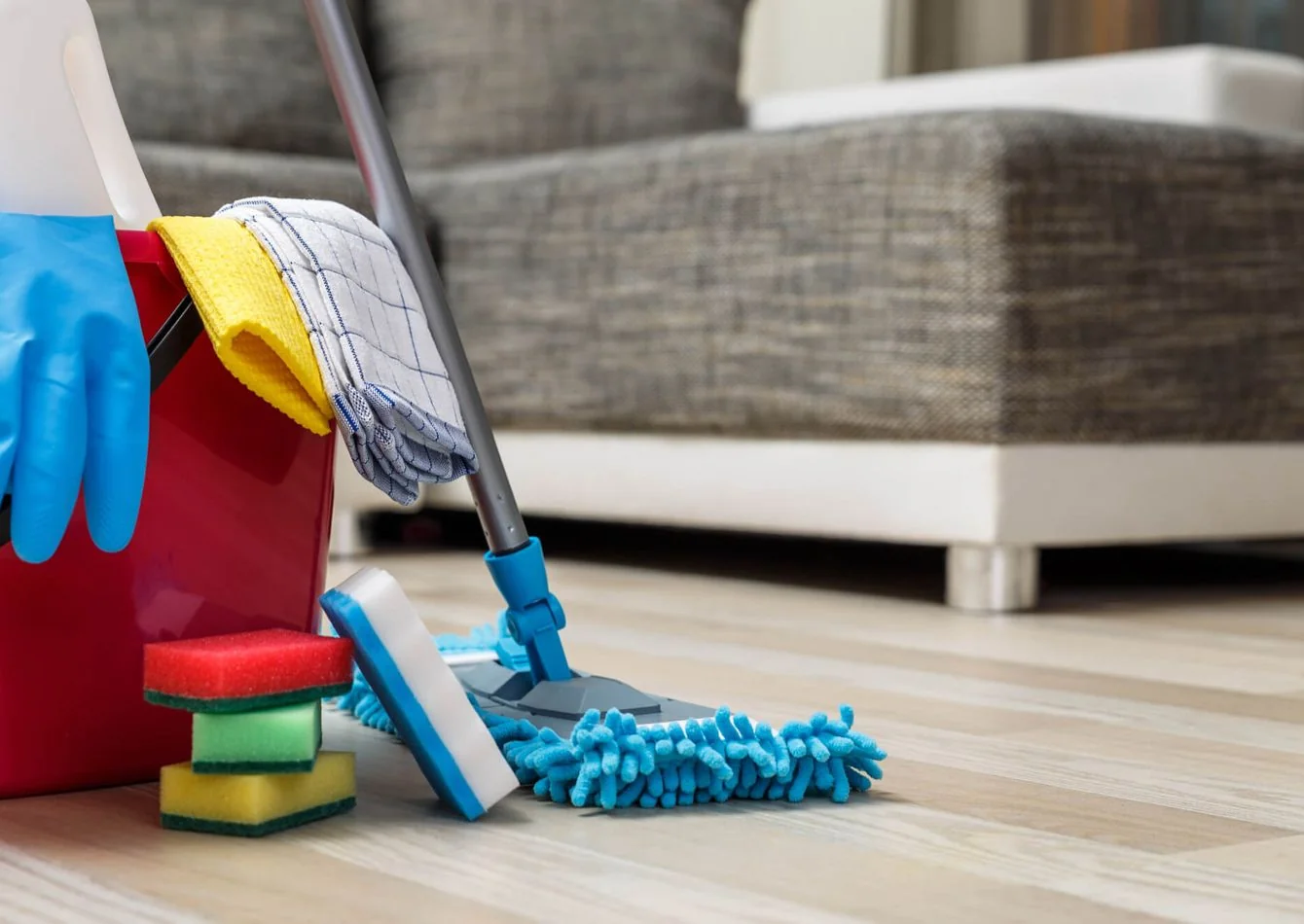 Home-Based Cleaning Service with Strong Margins & Significant Growth Potential - other for sale in port orange, FL