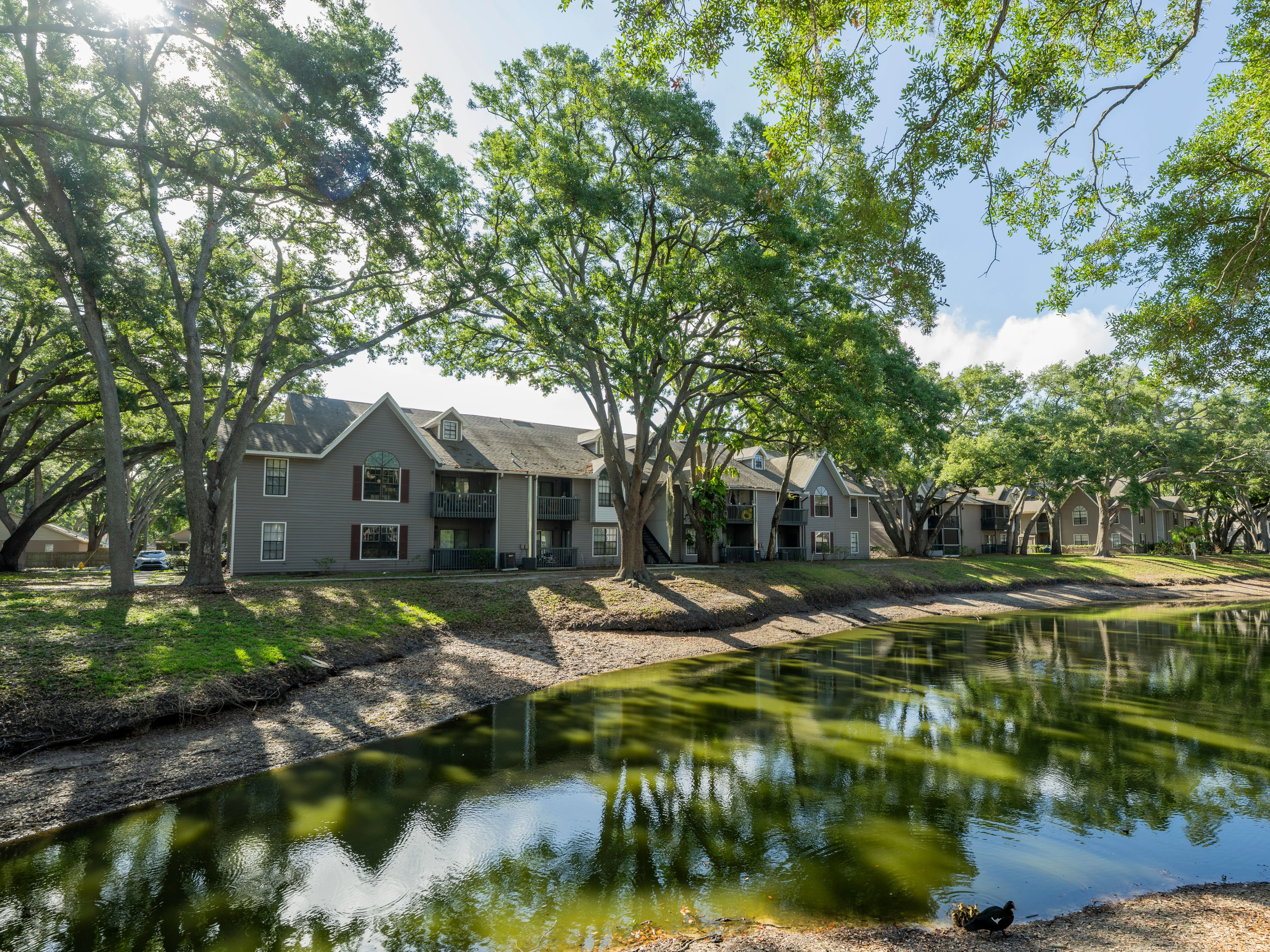 Oaks of Woodland Park - Tampa, FL — Sale in Tampa, FL, photo 2 of 8