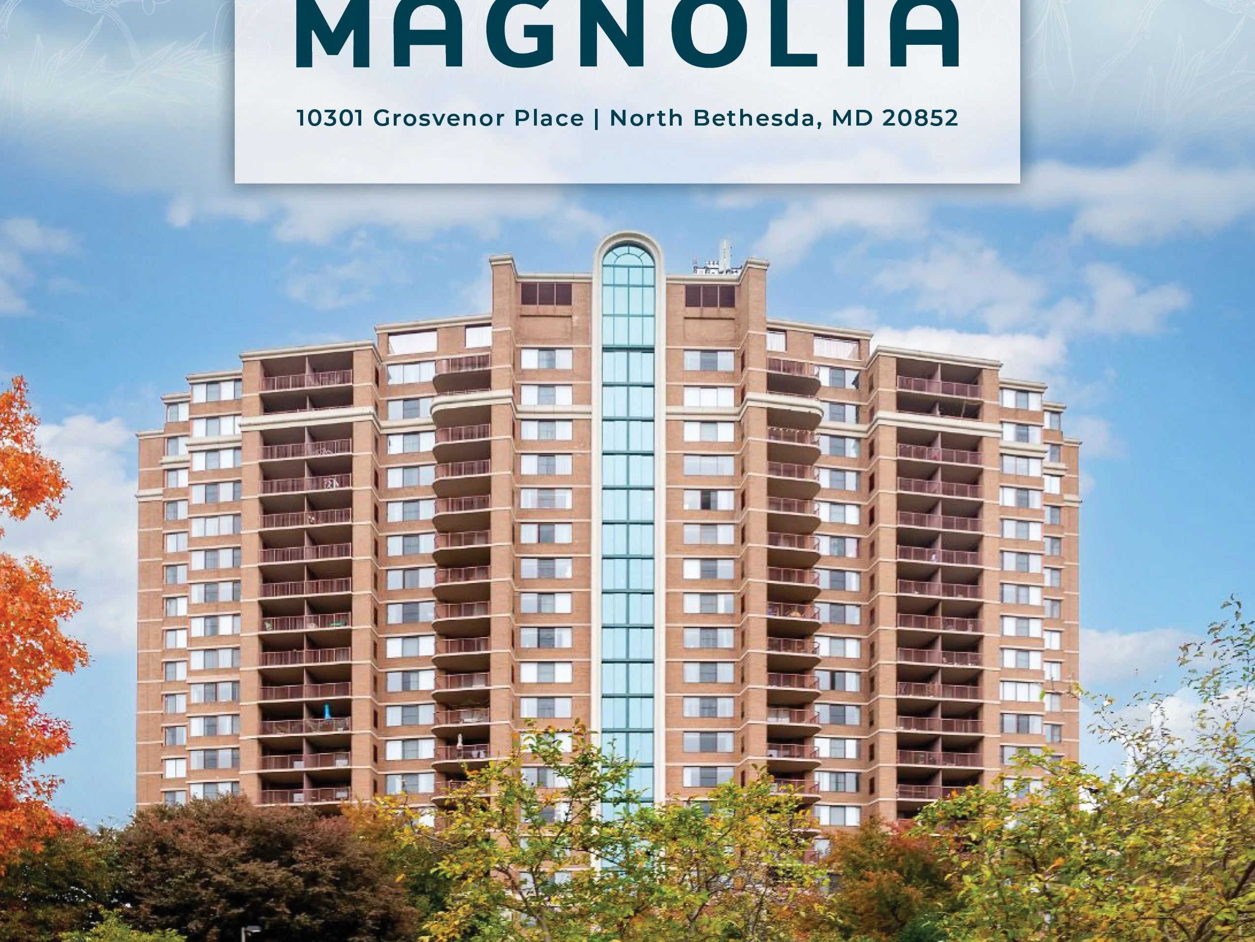 The Magnolia — Sale in North Bethesda, MD, photo 2 of 6