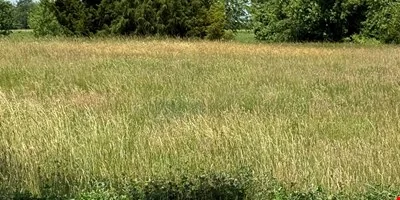 Mid-Shore Technology Park — Sale in Ridgely, MD, photo 3 of 8