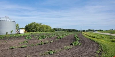 Prime Development Land — Sale in Mankato, MN, photo 3 of 4