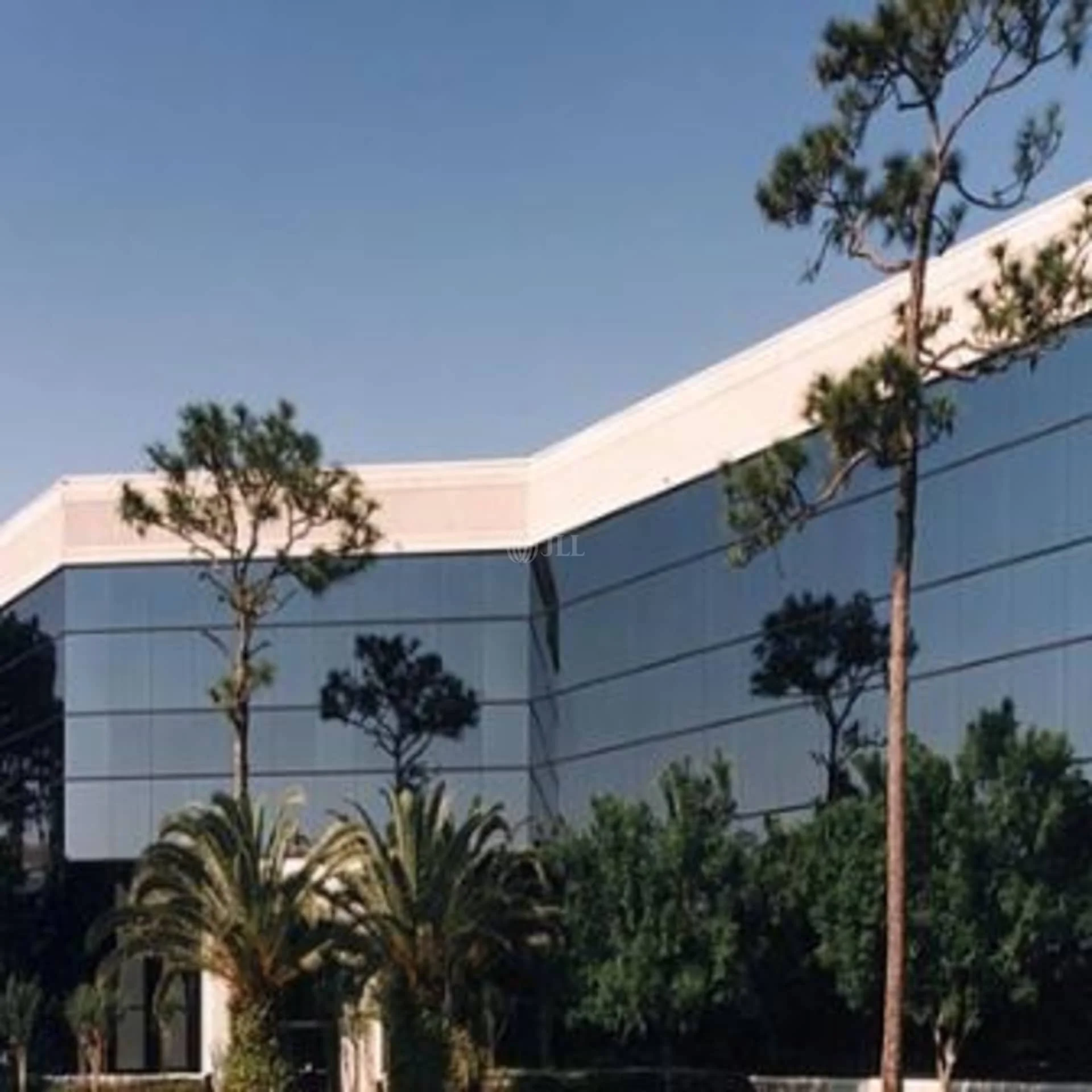 University Park 200 — Lease in Orlando, FL, photo 3 of 4