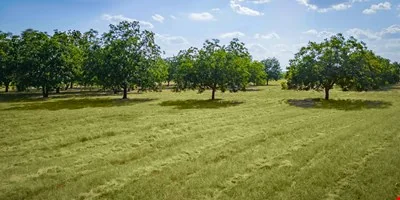 95 Loma Lane — Sale in Fredericksburg, TX, photo 4 of 8