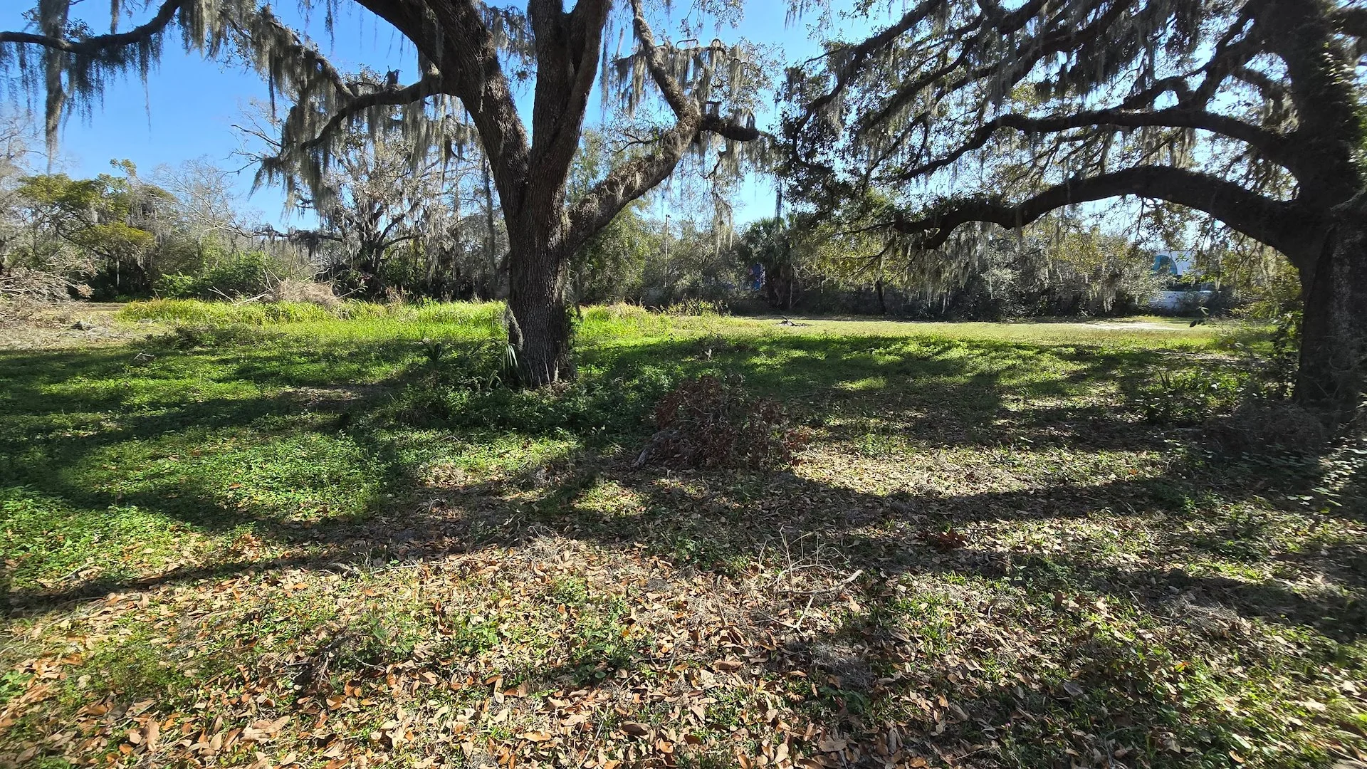 6214 E Sligh Ave — Sale in Tampa, FL, photo 6 of 8