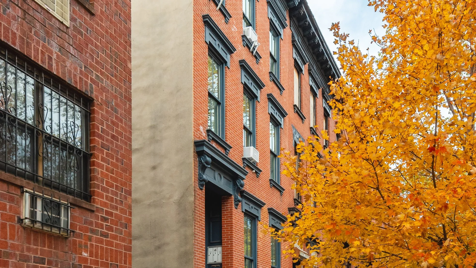 434 Clermont Avenue — Sale in Brooklyn, NY, photo 3 of 3