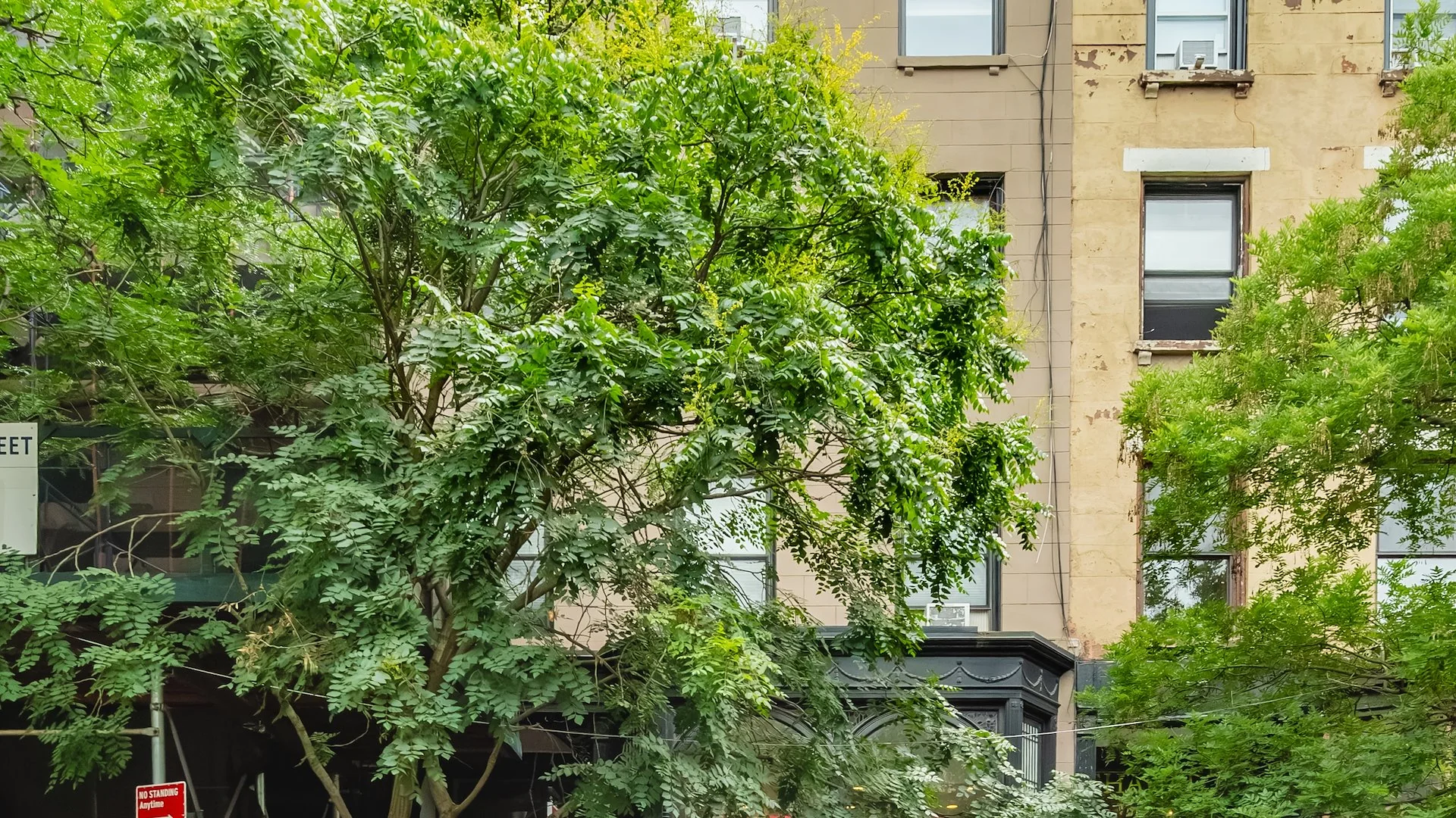130 Montague Street — Sale in Brooklyn, NY, photo 1 of 3