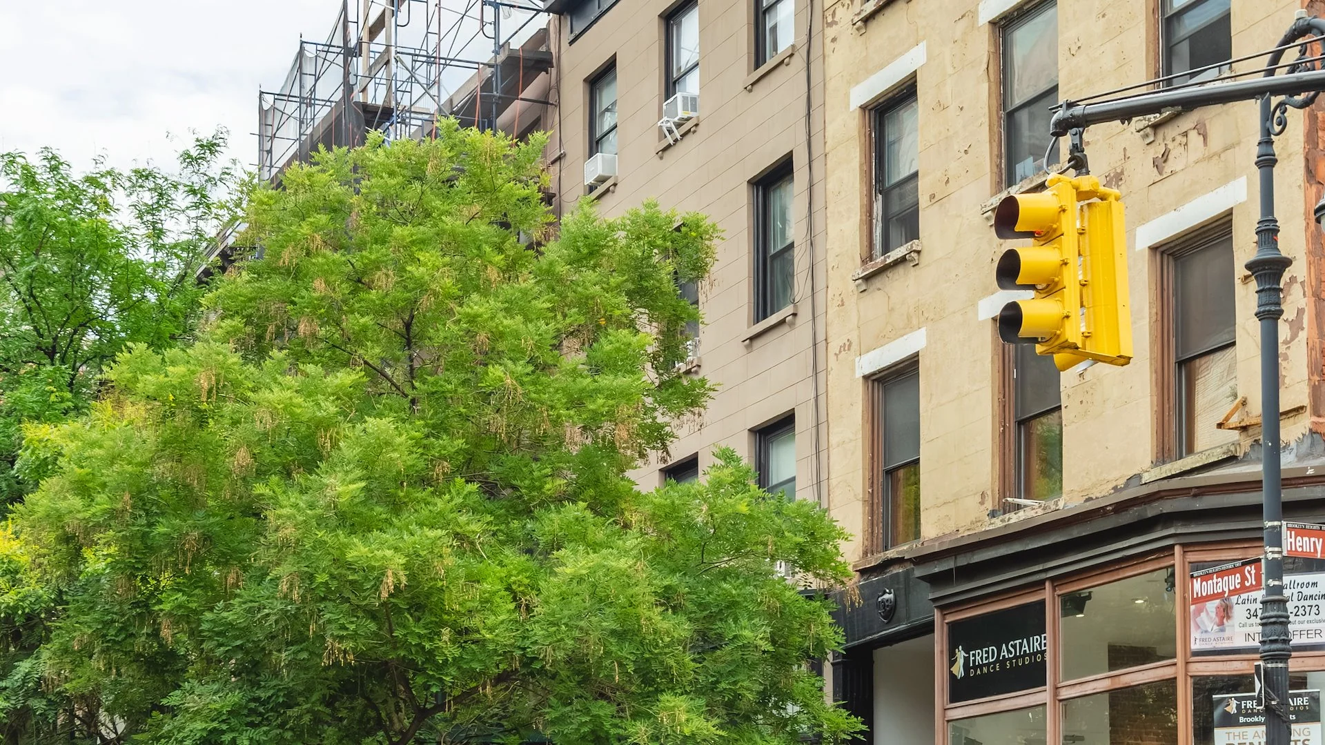 130 Montague Street — Sale in Brooklyn, NY, photo 3 of 3