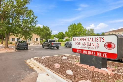 Eye Specialists for Animals of Colorado Springs — Sale in Colorado Springs, CO, photo 1 of 2