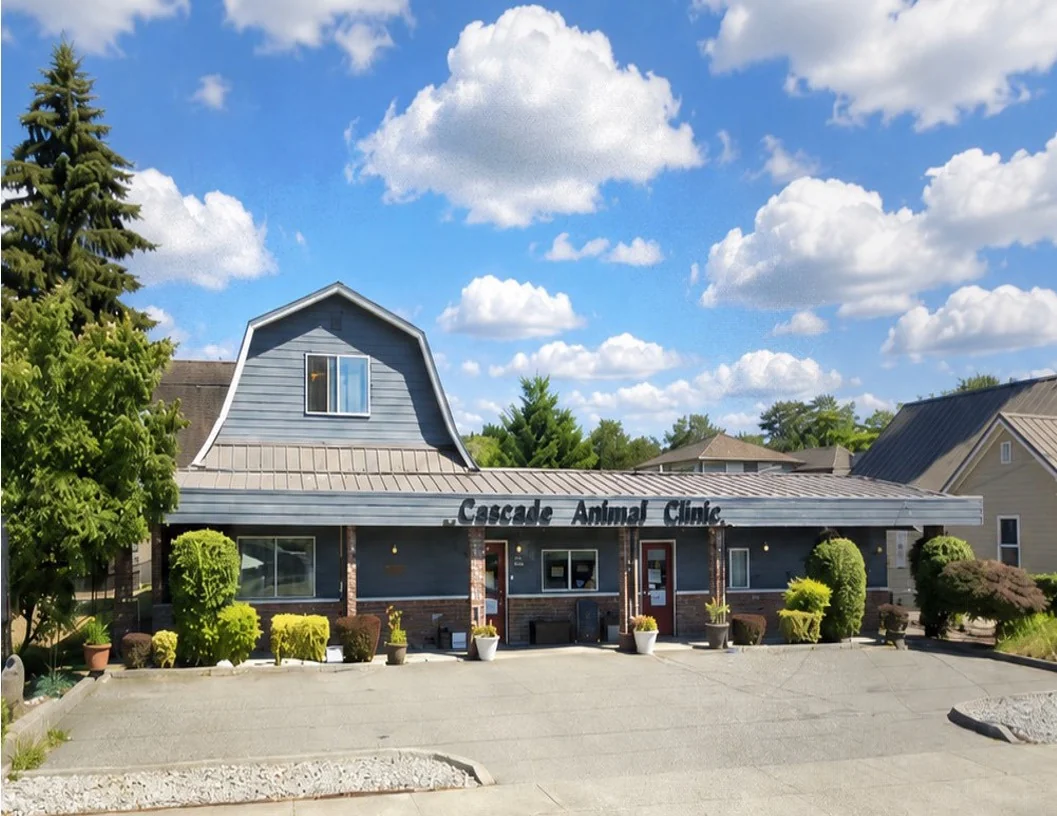 Net Leased Animal Hospital | Tax Free State | 7.2% Cap — Sale in Monroe, WA, photo 1 of 2