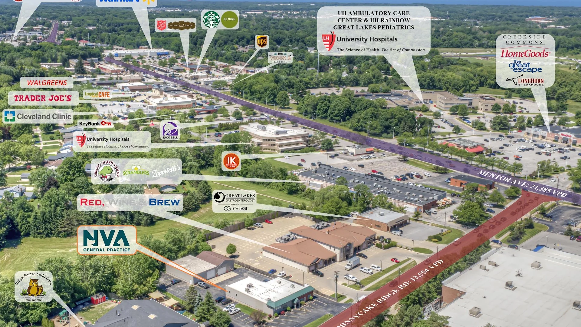 NVA Animal Hospital Portfolio | Mentor — Sale in Mentor, OH, photo 4 of 6