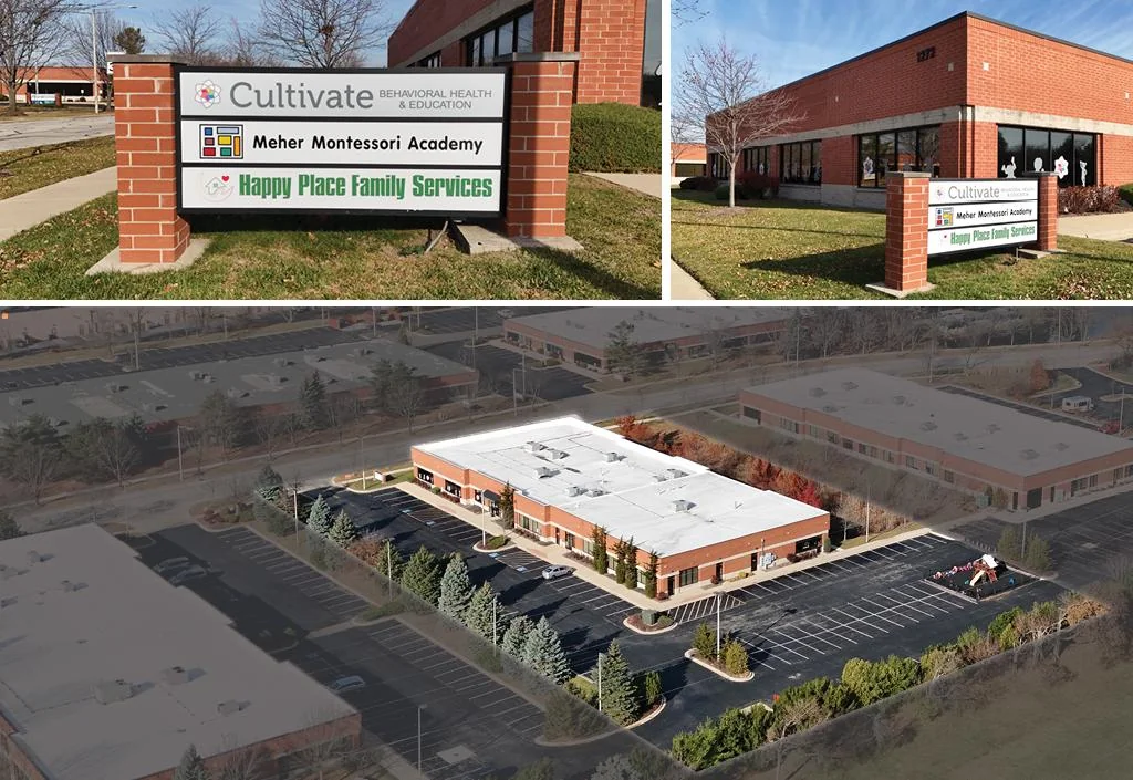 Multi Tenant Flex Building — Sale in Naperville, IL, photo 2 of 8