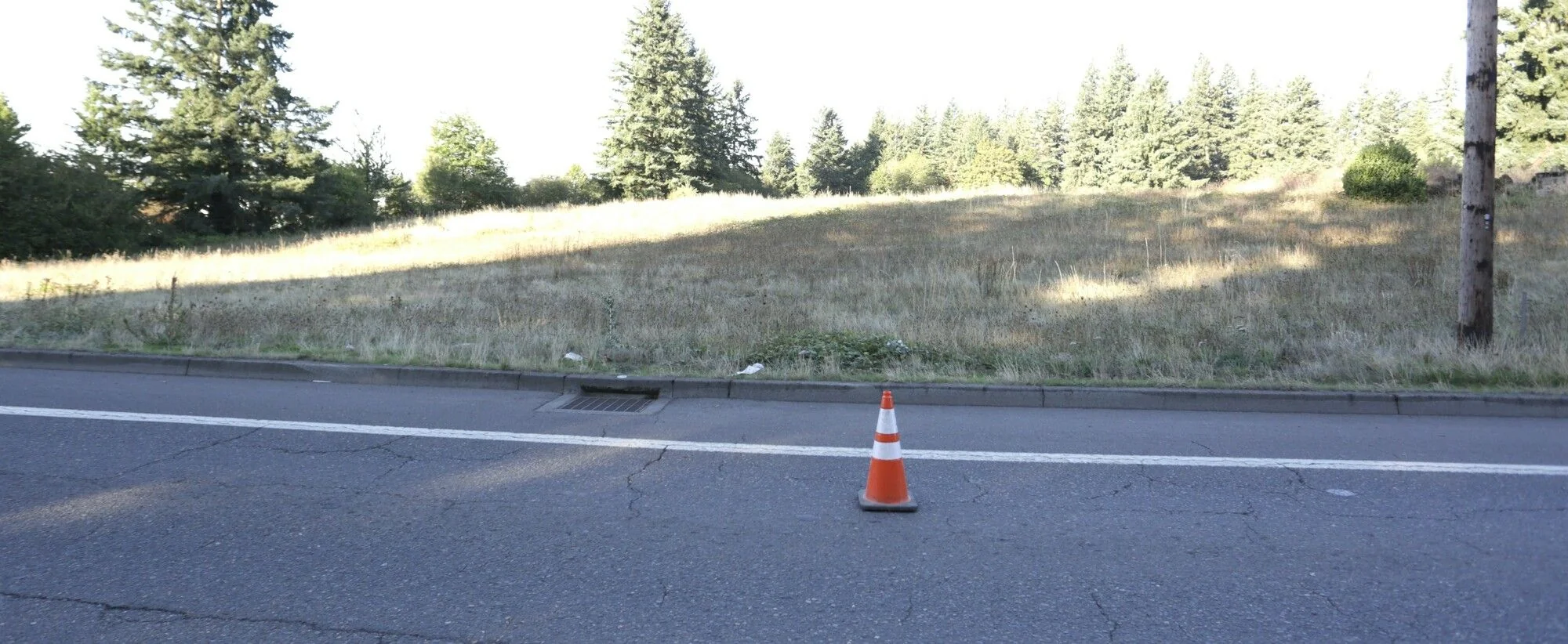 9500 SW Day Rd — Sale in Wilsonville, OR, photo 2 of 5