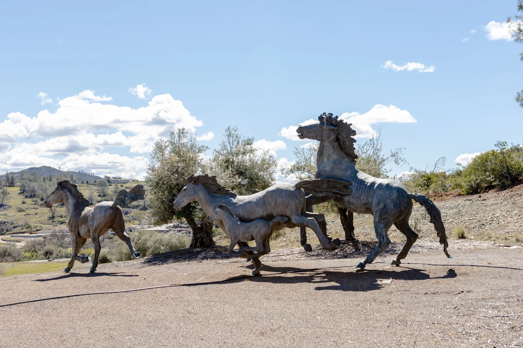 The Roebbelen Estate — Sale in El Dorado Hills, CA, photo 2 of 8