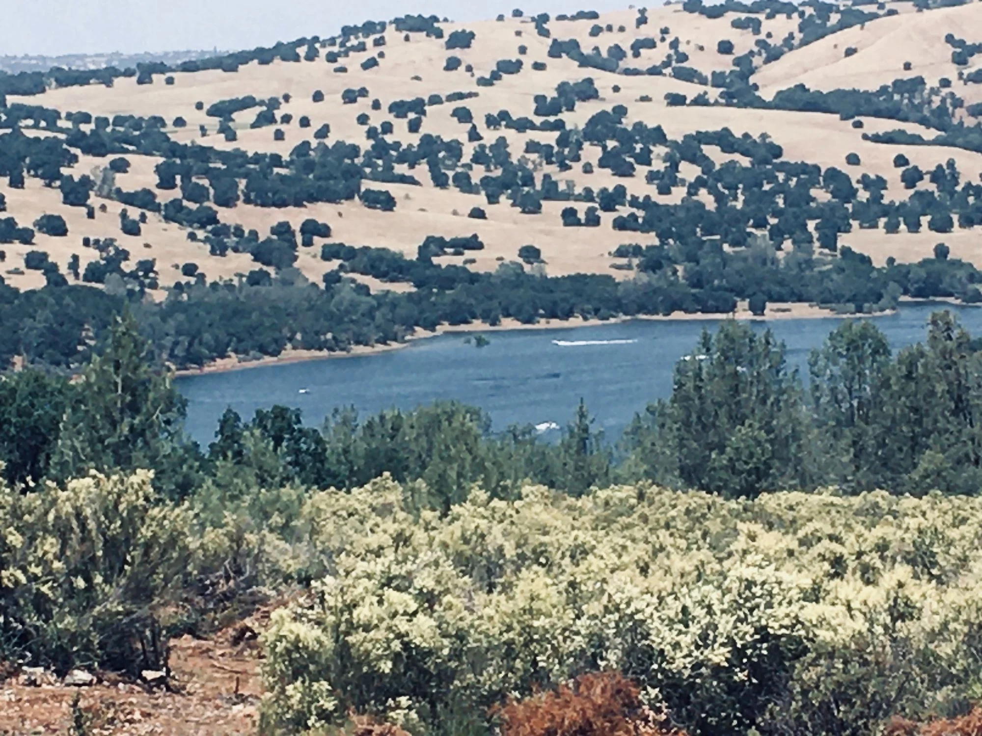 The Roebbelen Estate — Sale in El Dorado Hills, CA, photo 7 of 8