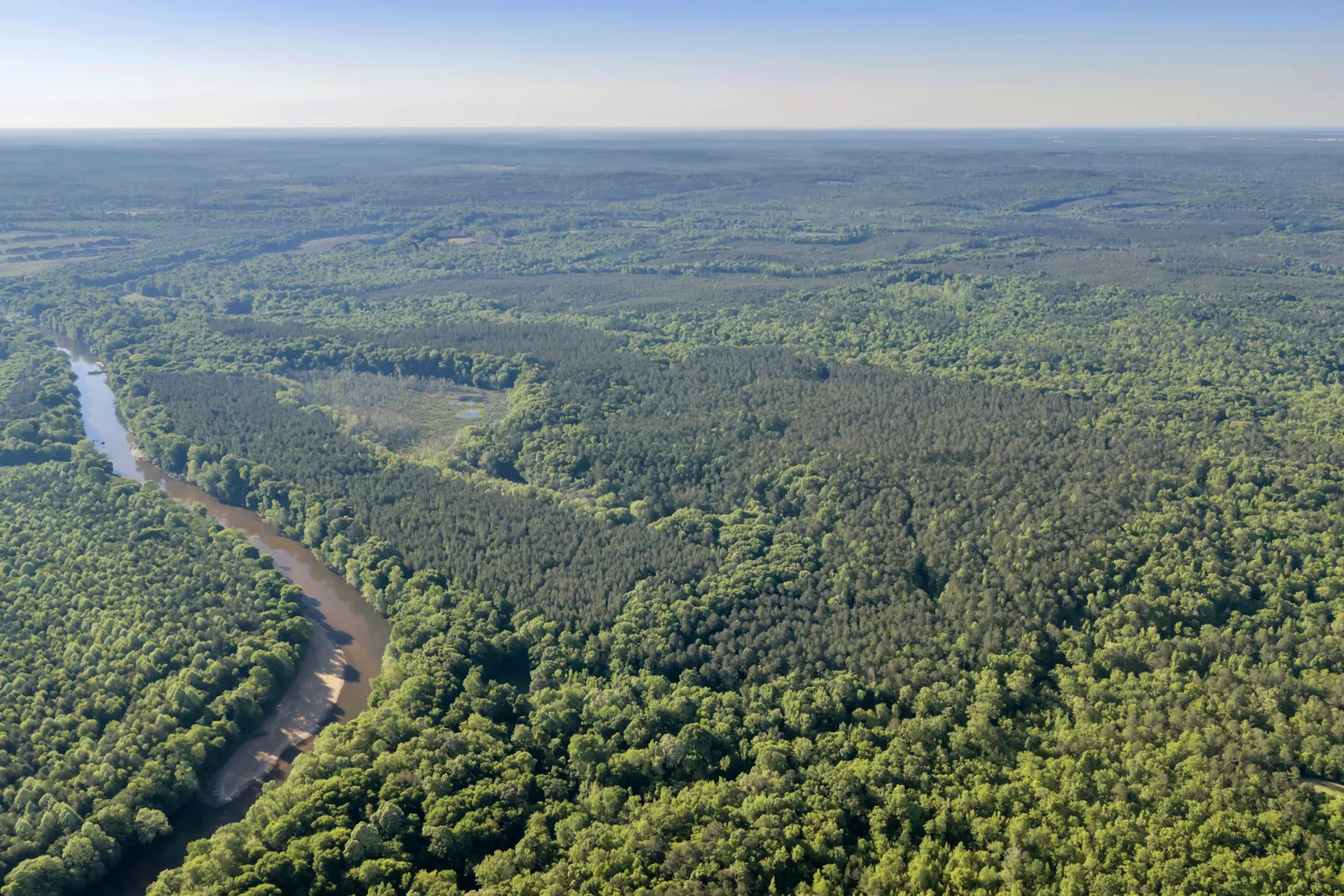 Land in Butler, GA — Sale in Butler, GA, photo 1 of 1