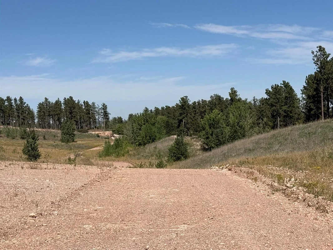 160 Acres Residential Development Land — Sale in Rapid City, SD, photo 4 of 8