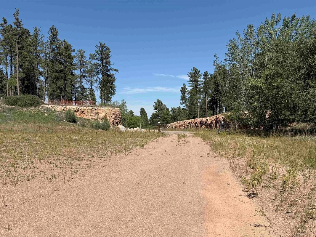 160 Acres Residential Development Land — Sale in Rapid City, SD, photo 5 of 8