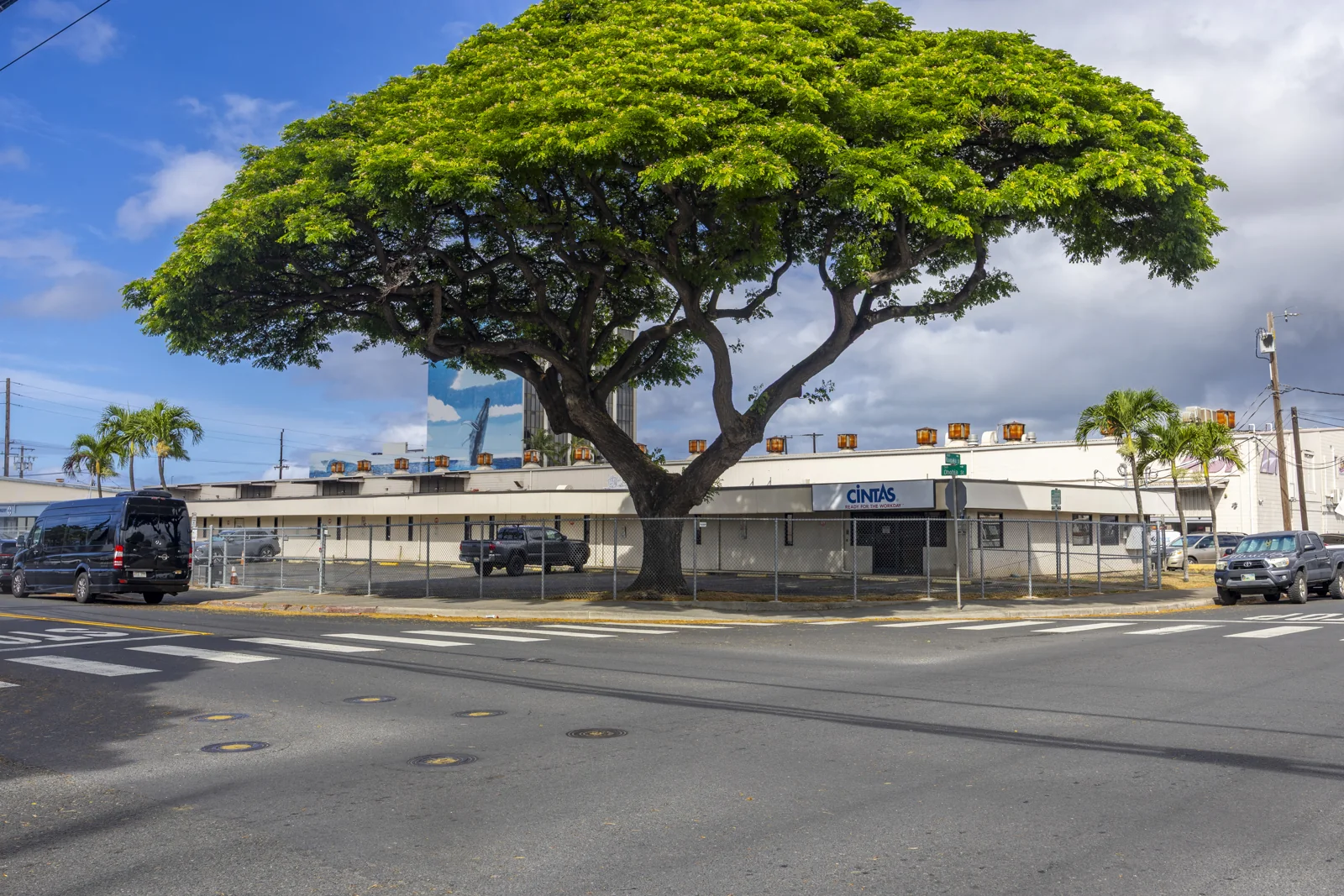 544 Ohohia St — Lease in Honolulu, HI, photo 3 of 8