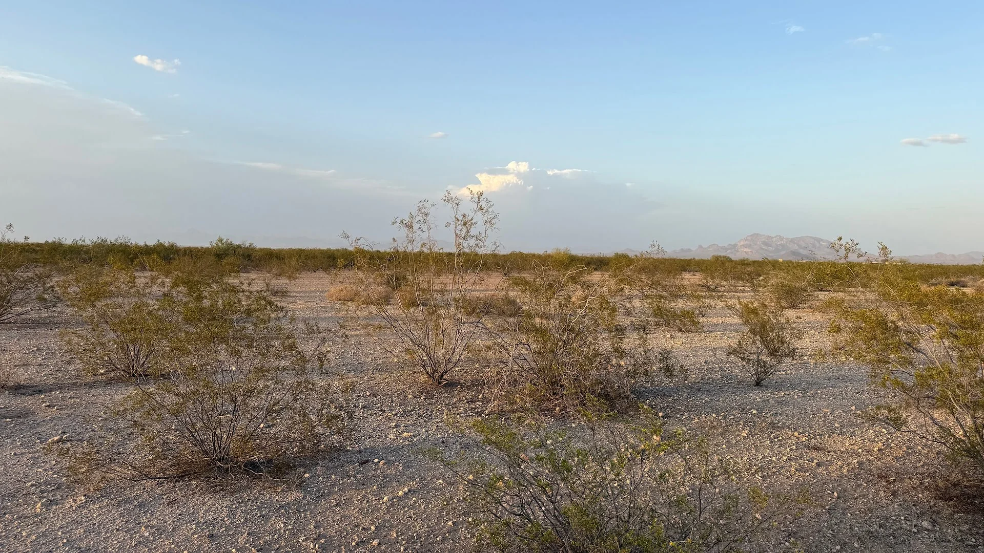 Vacant Land - Tonopah — Sale in Tonopah, AZ, photo 2 of 4