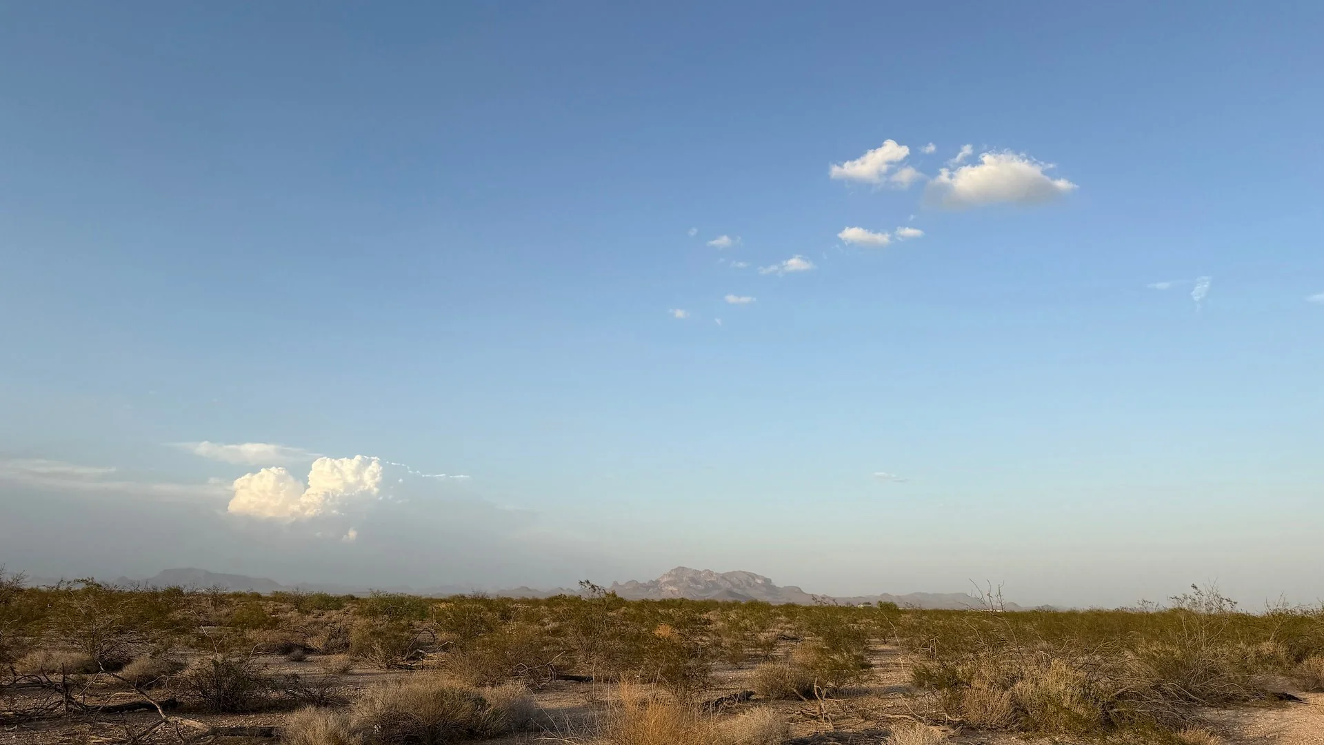 Vacant Land - Tonopah — Sale in Tonopah, AZ, photo 4 of 4