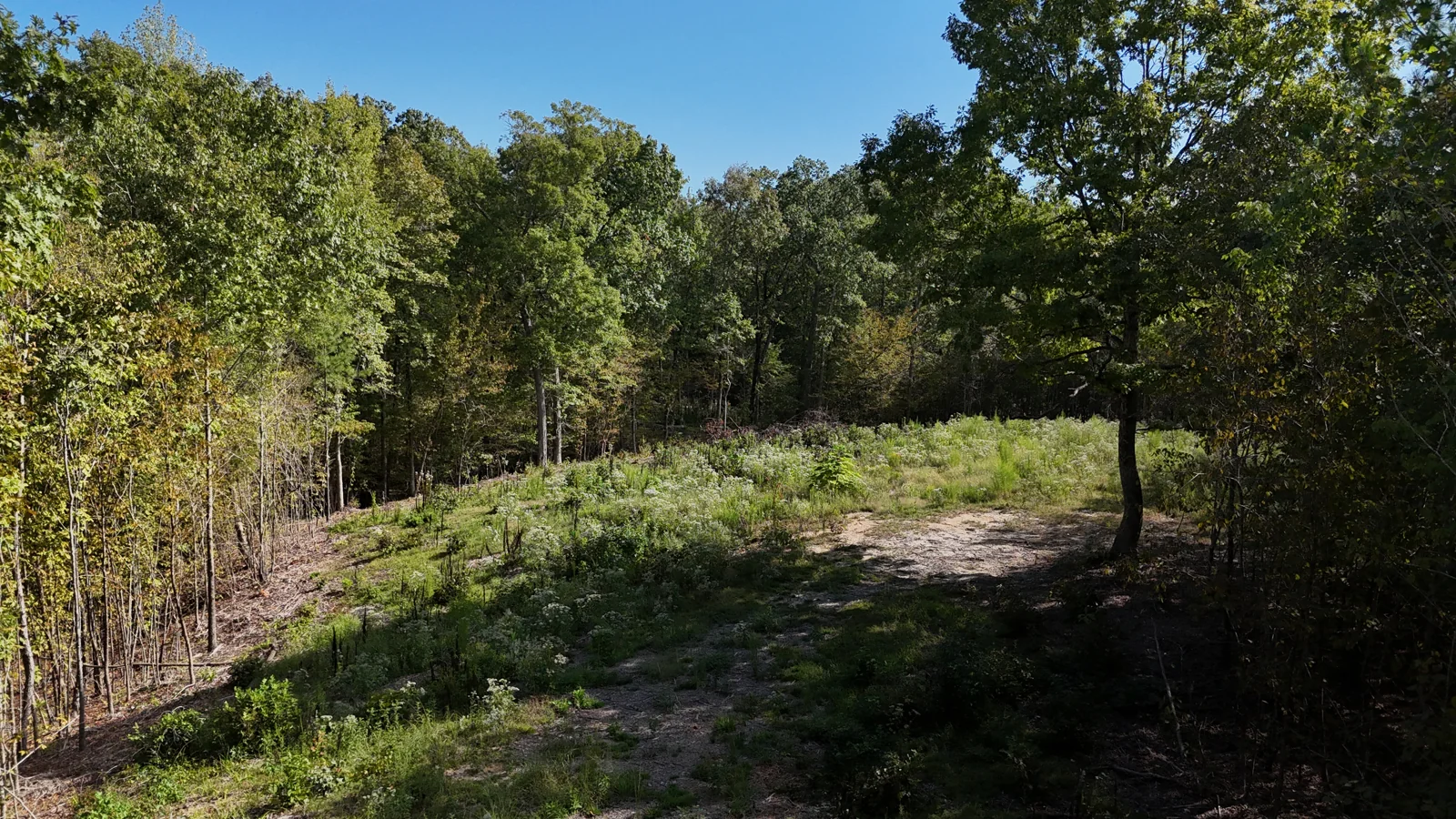 Land in Alexander, AR — Sale in Alexander, AR, photo 4 of 8