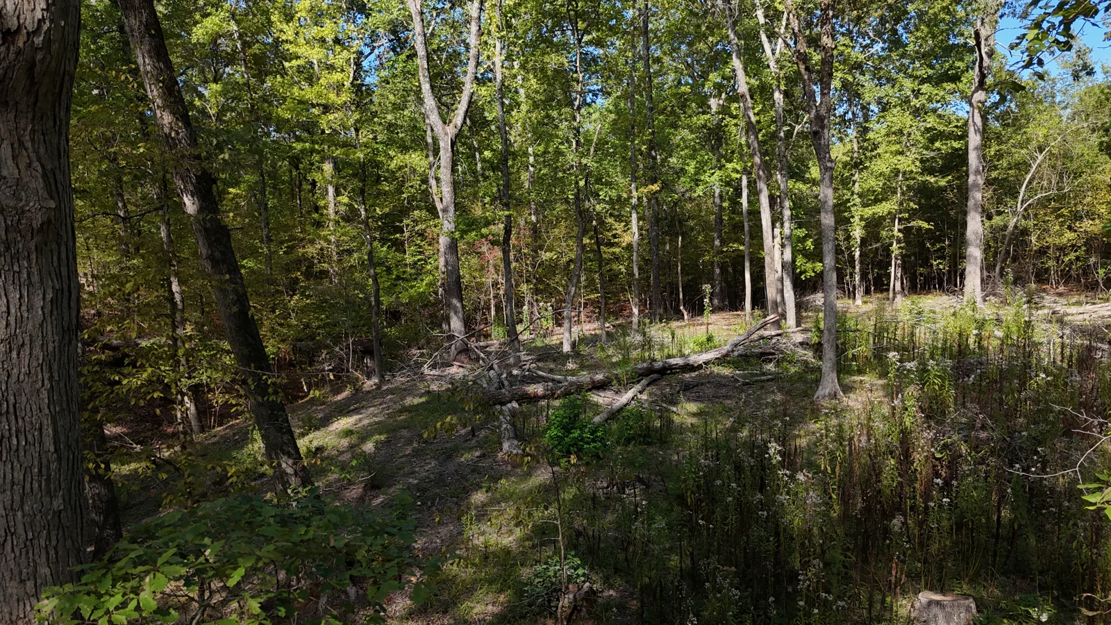 Land in Alexander, AR — Sale in Alexander, AR, photo 6 of 8