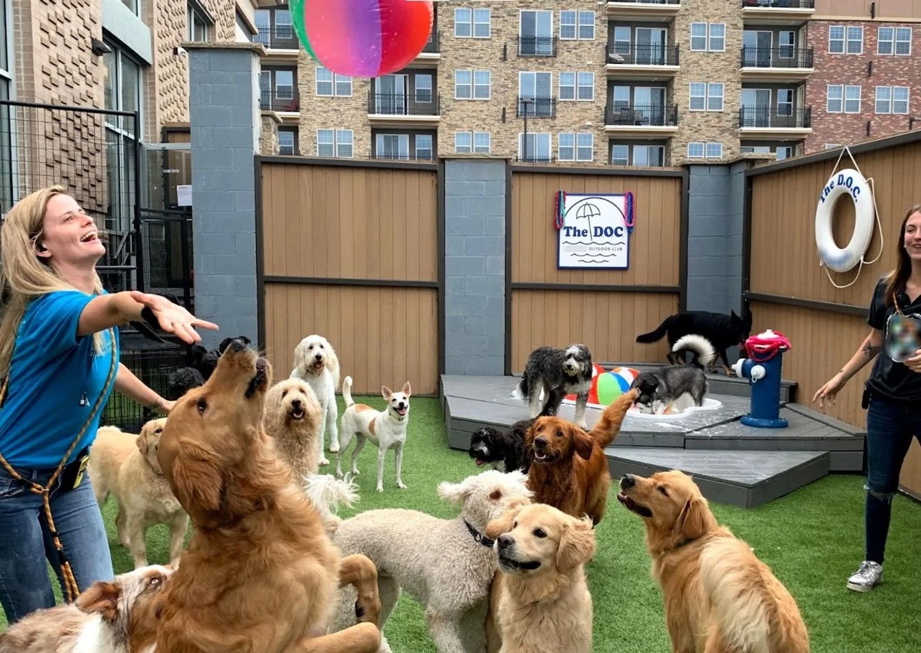 Established, Manager‑Led Pet‑Care Franchise – Strong Cash Flow – Expansion Ready - other for sale in overland park, KS