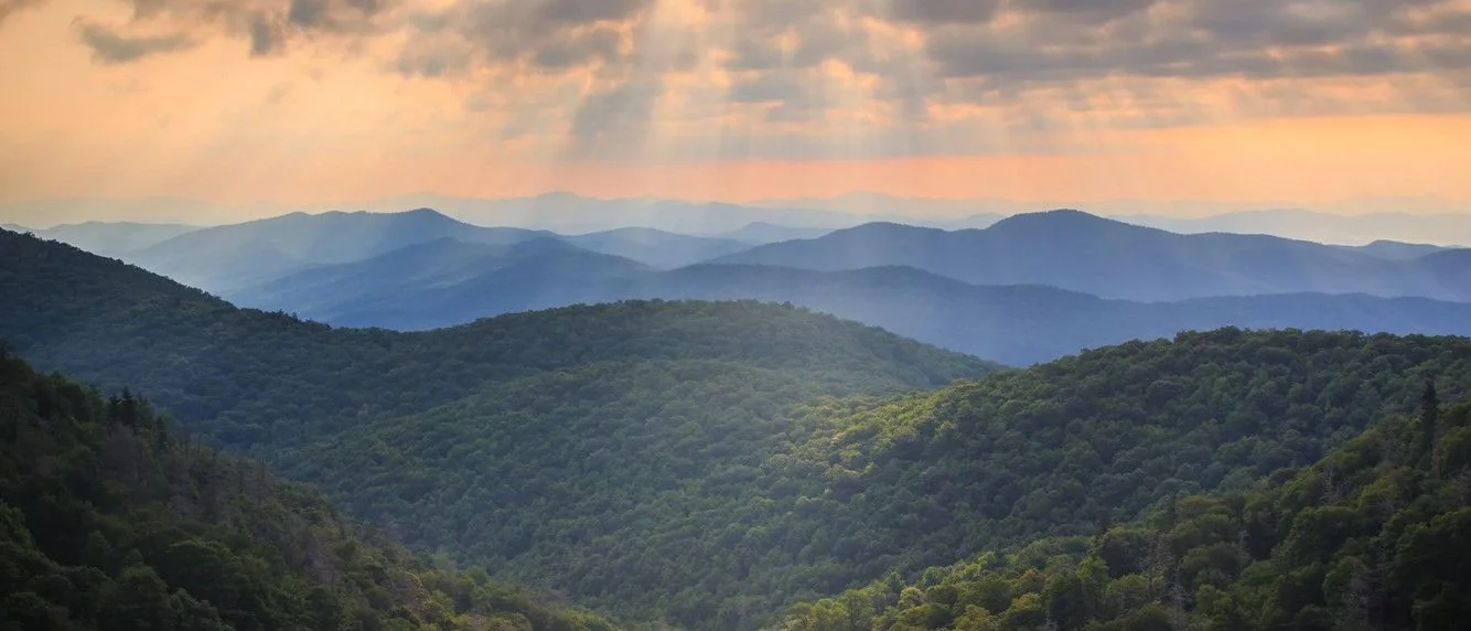 Hyatt Place Asheville Airport — Sale in Asheville, NC, photo 4 of 8