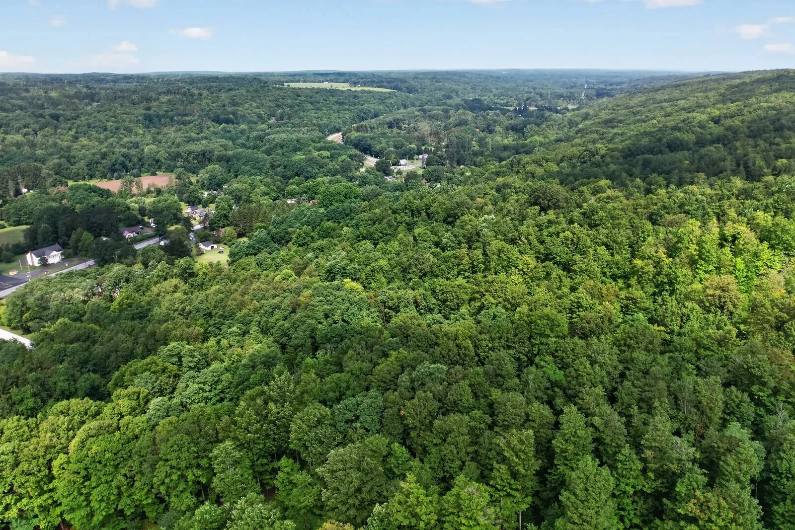 $1 Auction – 4.9 Acre Parcel | 11K VPD | $127K Avg HH… — Sale in South Wales, NY, photo 2 of 5