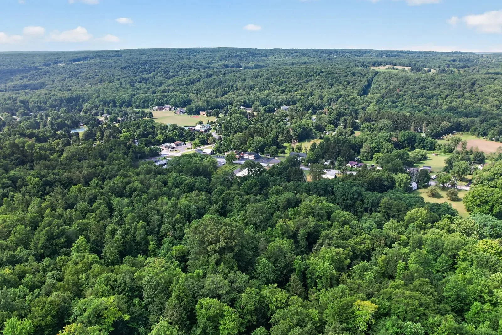 $1 Auction – 4.9 Acre Parcel | 11K VPD | $127K Avg HH… — Sale in South Wales, NY, photo 4 of 5