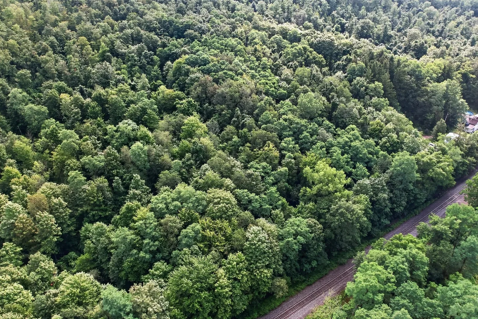 $1 Auction – 4.9 Acre Parcel | 11K VPD | $127K Avg HH… — Sale in South Wales, NY, photo 5 of 5
