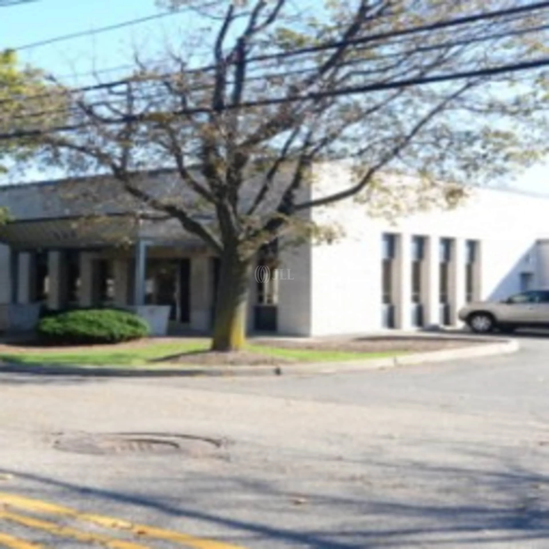 LCEL Collectibles — Lease in Carlstadt, NJ, photo 3 of 7