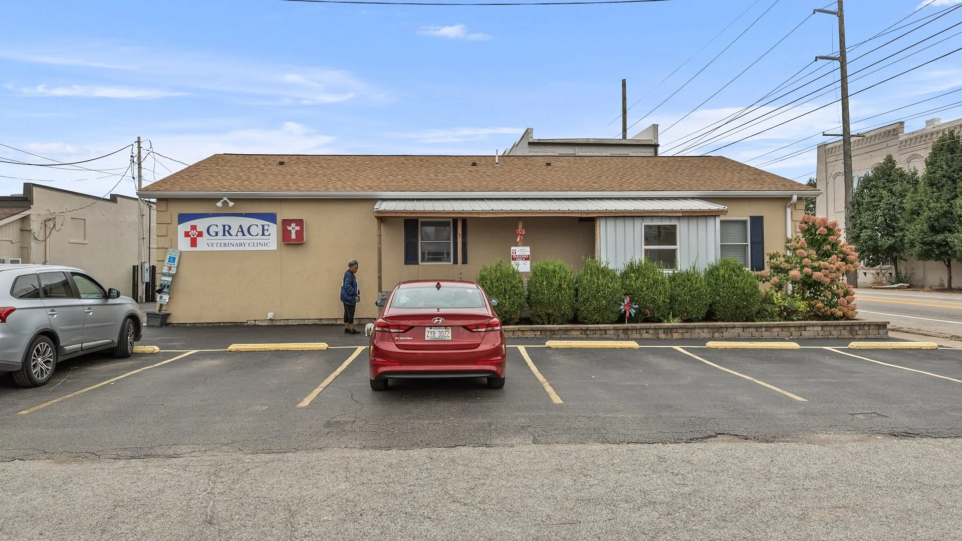 Thrive Pet Healthcare — Sale in Chatham, IL, photo 1 of 4