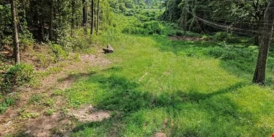 First Bessemer SDA Property — Sale in Bessemer, AL, photo 4 of 6