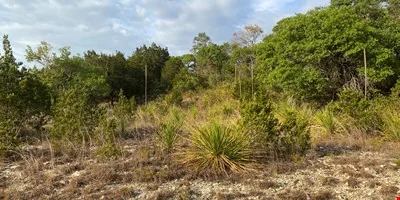 5.27 Commercial Acres in Bulverde, TX — Sale in Bulverde, TX, photo 5 of 8