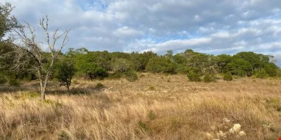 5.27 Commercial Acres in Bulverde, TX — Sale in Bulverde, TX, photo 7 of 8