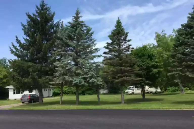 Land for Sale — Sale in Big Flats, NY, photo 1 of 1