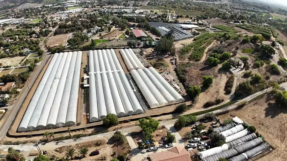 513 Cassou Rd. — Sale in San Marcos, CA, photo 5 of 5