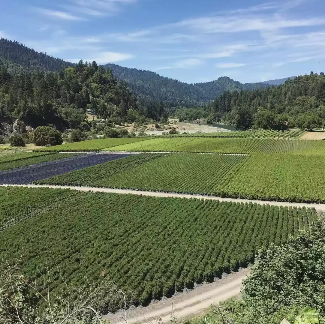 Willow Creek - photo 2 - Willow Creek, CA