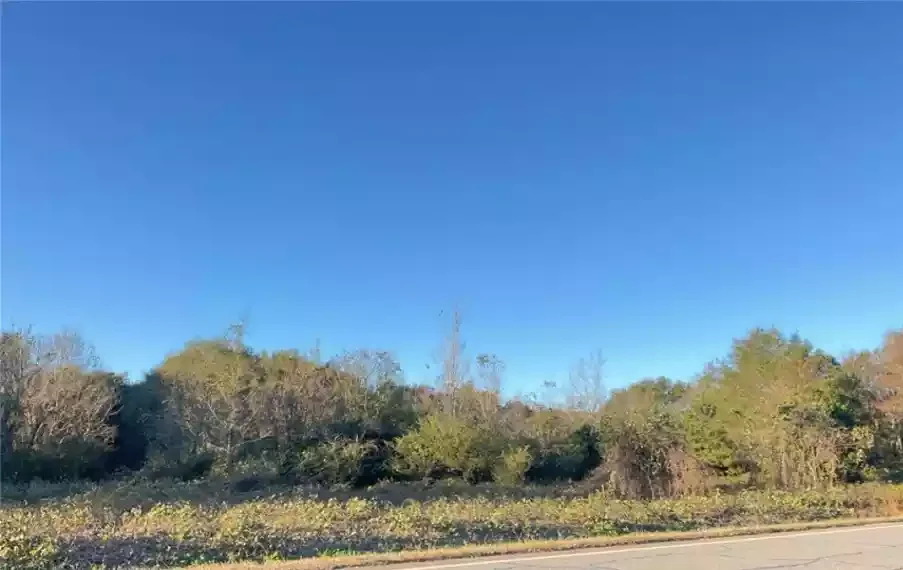 SW Corner of I-75 & Highway 26 - Elko GA — Sale in Elko, GA, photo 1 of 1