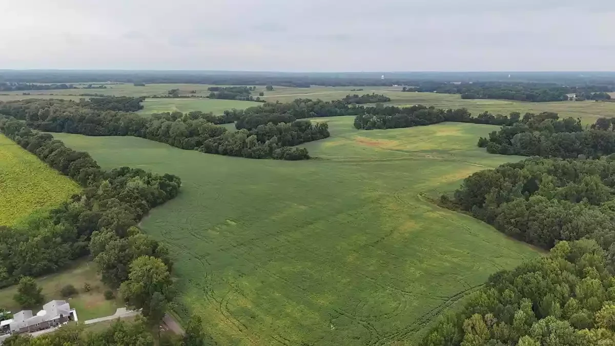 Singleton Pkwy Land — Sale in Millington, TN, photo 3 of 6